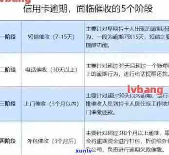 银行追信用卡欠款手：技巧与实践