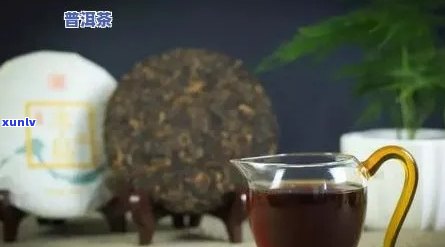 冰岛普洱泡法：如何泡出好喝的冰岛普洱茶，生茶与熟茶的不同冲泡 *** 