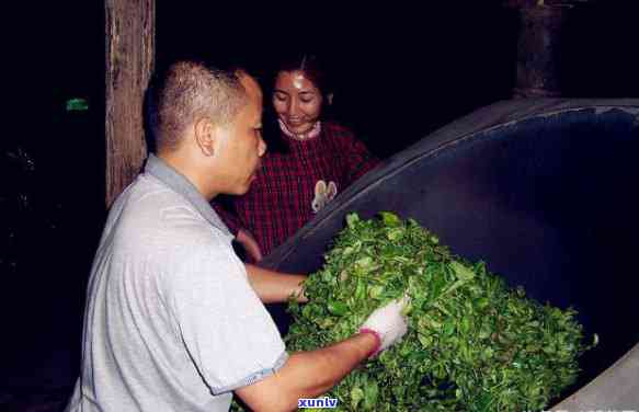 普洱茶二级原料标准：详细等级与评估