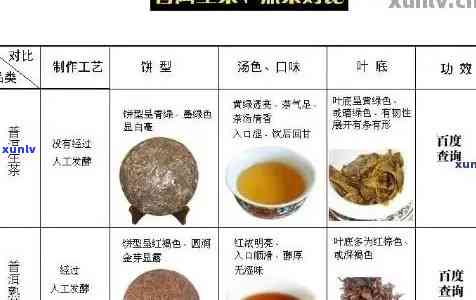 普洱茶叶等级详解：一、二级茶叶品质对比与选择建议