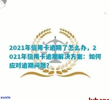 2021年信用卡逾期问题全攻略：如何处理、影响与解决方案一文解析