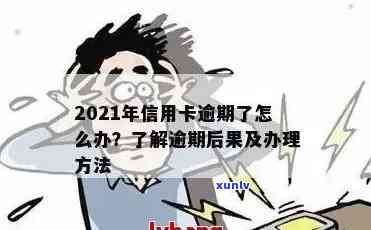 2021年信用卡逾期问题全攻略：如何处理、影响与解决方案一文解析