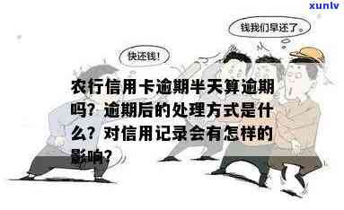 农行信用卡逾期处理流程：逾期多久会被起诉？如何避免呆账影响信用记录？