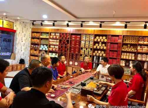 太原专业茶叶店：提供全系列普洱茶，品鉴、购买、冲泡一站式服务