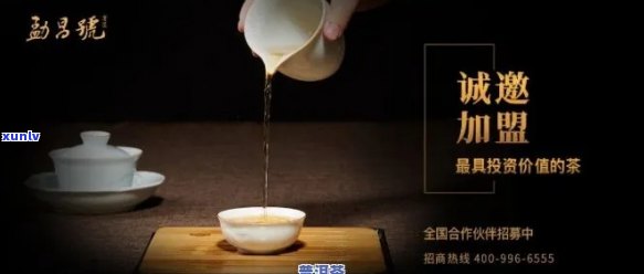 如何成功加盟 *** 州普洱茶？完整指南解析