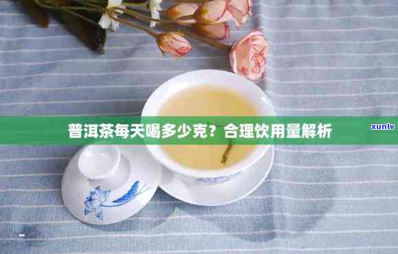 普洱茶适量饮用的建议：一天喝多少克才能达到效果？