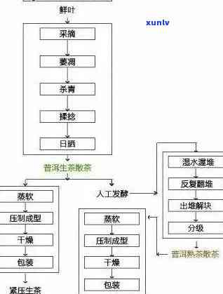 德普洱茶加盟 *** ： *** 、条件、流程及更多相关信息全面解析