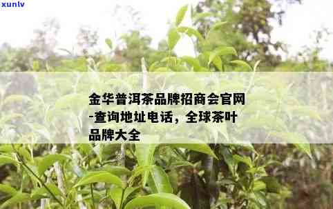 金华普洱茶招商