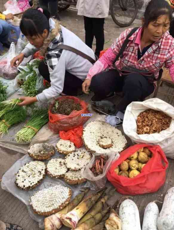 医生妙手：普洱茶是否为心血管病人的良方？