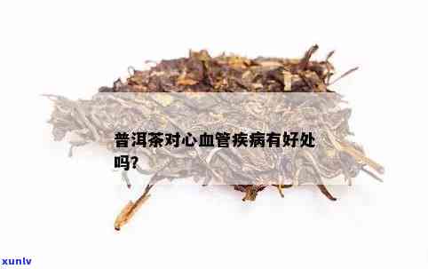 心脑血管病喝普洱茶