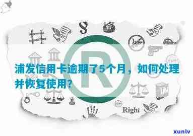 解决逾期信用卡问题：浦发银行信用恢复指南