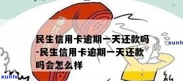 民生信用卡逾期还款的影响及应对策略