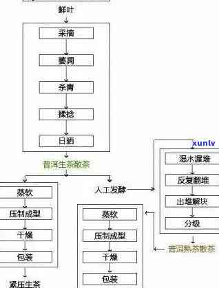 肃普洱茶加盟流程