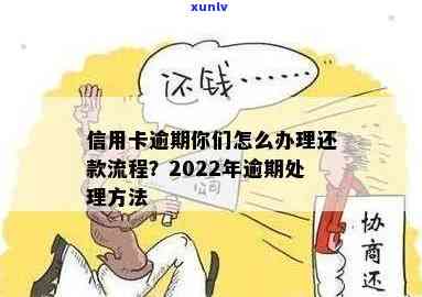 2022年信用卡逾期还款最新政策：详解处理流程与步骤