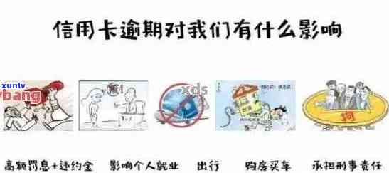 逾期能申办的信用卡类型、额度及推荐，有逾期记录如何申请适合的信用卡？