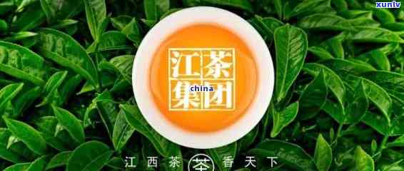 江加盟普洱茶推荐