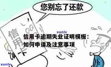 信用卡逾期、失业、办理失业金：一文解答您的疑问及解决方案