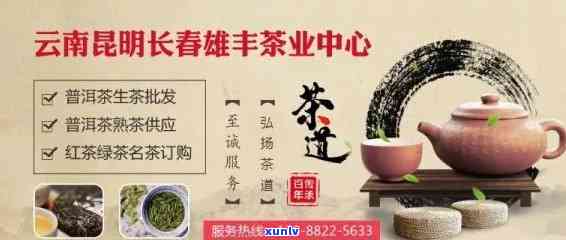 云南普洱茶加盟与 *** 专业公司