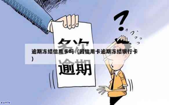 信用卡逾期情况如何查询？是否会被查封或冻结银行卡？