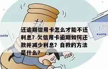 信用卡逾期与网贷逾期：如何解决还款问题，预防信用损失？