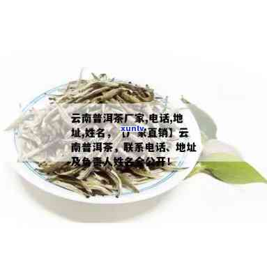 描述普洱茶九年的词句：陈年普洱茶的醇厚、深远与岁月韵味的交织