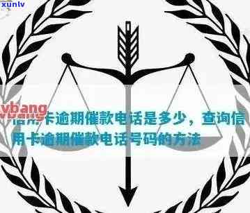 浙江波高效逾期信用卡服务公司