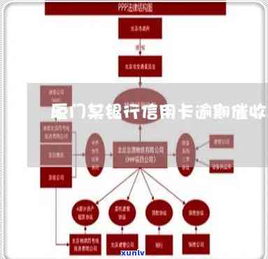 厦门信用卡逾期处理价格