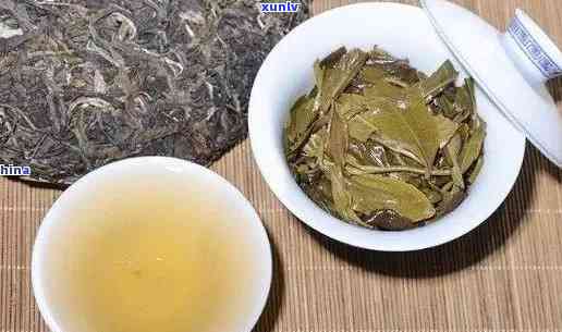 冰岛糯茶价格明细：生普多少钱一斤？属于什么档次的茶？