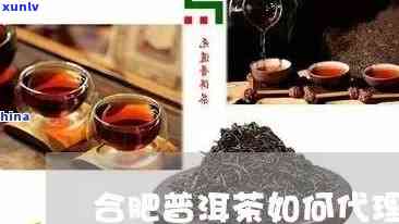 合肥加盟普洱茶公司