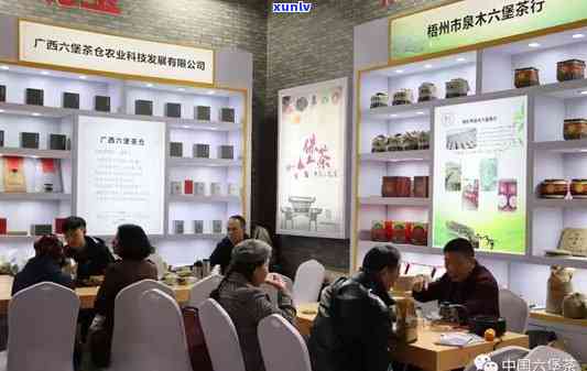 梧州六堡茶招商：加盟茶叶厂，共享品茶宴