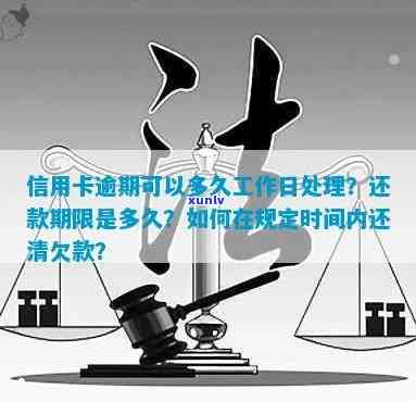 信用卡逾期后的处理时间及工作日概览