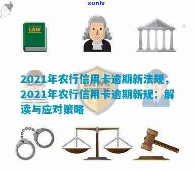 2021年农行信用卡逾期新法规全解读： 逾期细节、影响与应对