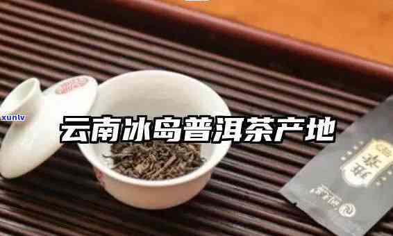 云南普洱冰岛茶产地