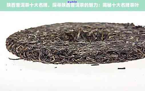 陕西普洱茶十大名牌全解析：品质、价格、口感、购买渠道一应俱全！