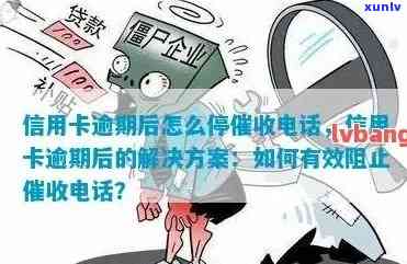 怎么让信用卡停止业务和收利息功能