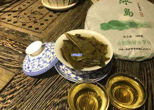 普洱冰岛什么茶