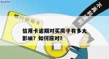 信用卡逾期房子过户银行会追究吗？怎么办？