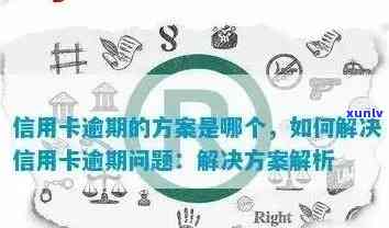 全方位指南：如何消除信用逾期记录以及避免未来的信用问题