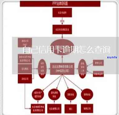 怎么查哪个信用卡逾期