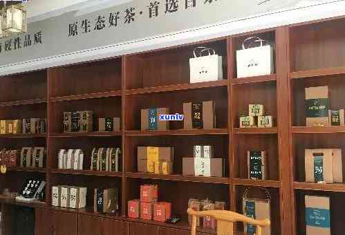 普洱茶特经营专卖店：投资详情与茶叶排行榜