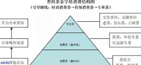 普洱茶招商加盟完整指南：如何选择、费用、流程、支持等全方位解决方案