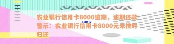 农业银行信用卡8000逾期还款攻略：信用修复与应对措