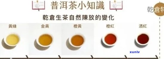 普洱茶转化度