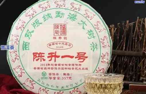 新河北陈升普洱茶加盟招商条件全方位解析