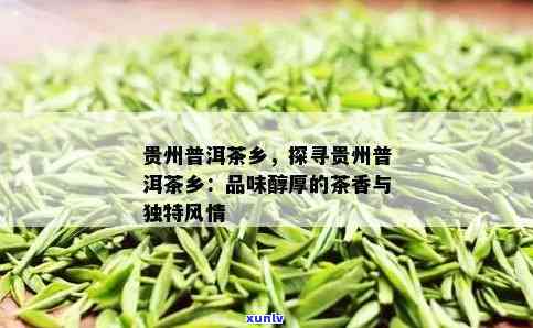 探寻贵州特色茶叶：品味普洱茶的魅力与品种