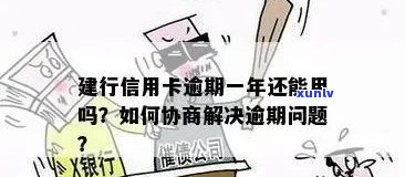 逾期利息过高？解决建行信用卡债务困境的 *** 与建议