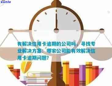 寻找解决信用卡逾期问题的有效途径：公司、服务与建议一应俱全