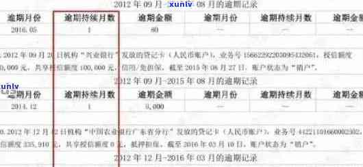 信用卡逾期记录查询全指南：如何避免逾期、了解信用状况