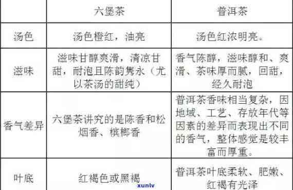 普洱熟茶与六堡茶：对比分析与选择指南