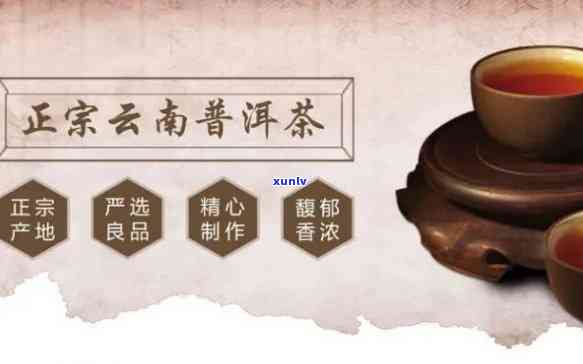 崇普洱茶 *** 招商